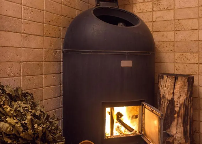 Pinia Eco-hotel 3* Odessza